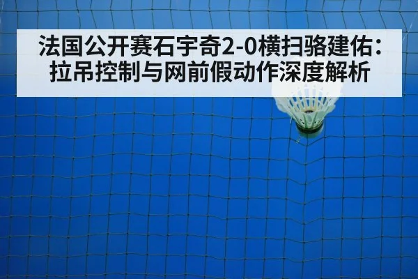 badminton net play