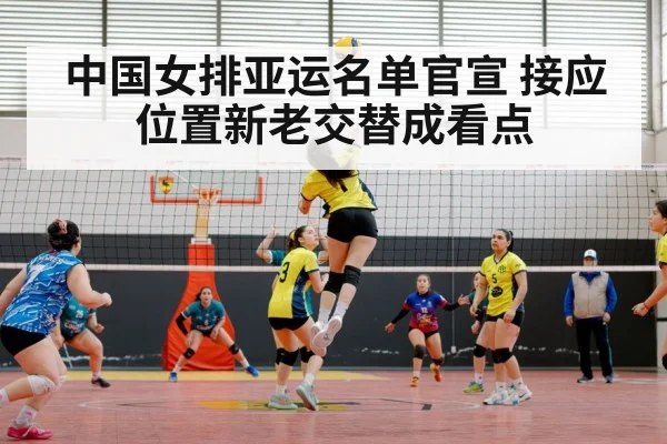 中国女排亚运名单官宣 接应位置新老交替成看点