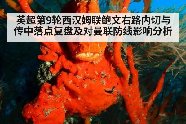 英超第9轮西汉姆联鲍文右路内切与传中落点复盘及对曼联防线影响分析